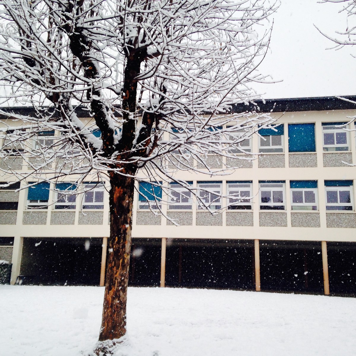 Winter. Or, how many times can I write the word snow in one&nbsp;post*?