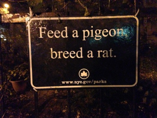 23019674660_29373418a9_o